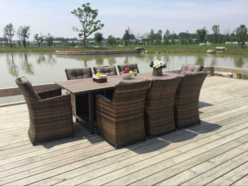 Dining table & chair 8+1